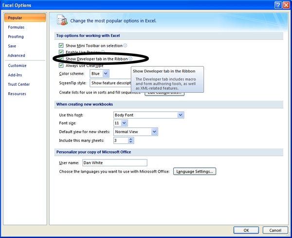 20091012_exceloptions
